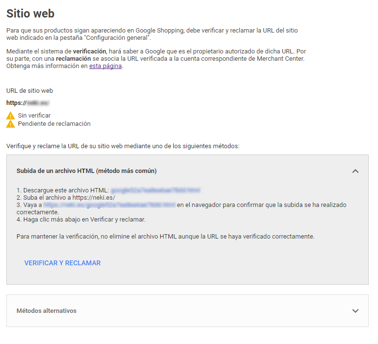 Paso 3.1 Verificación del sitio web