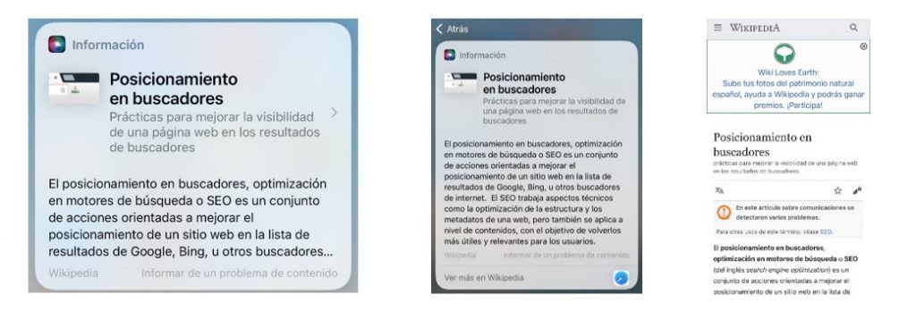 consulta seo a siri