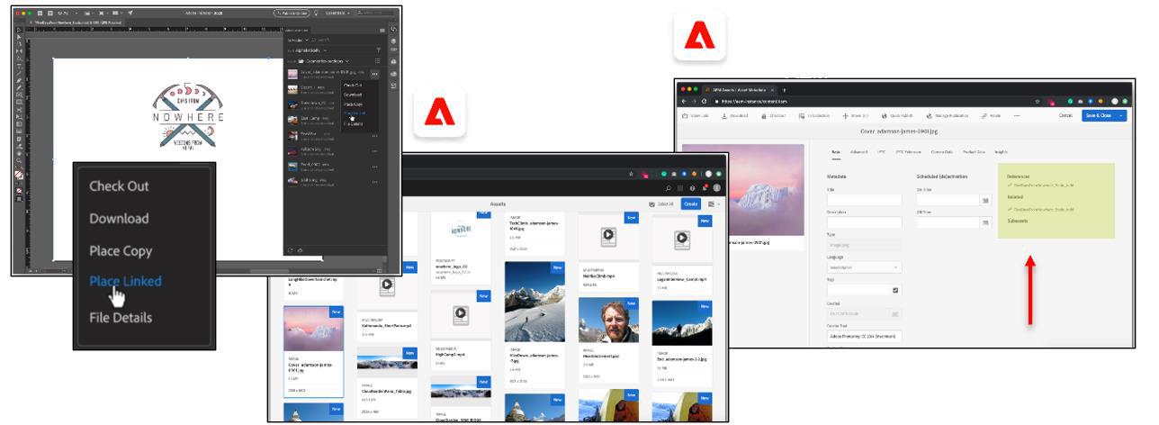 Brand Portal y Asset Link: DAM y Dynamic Media