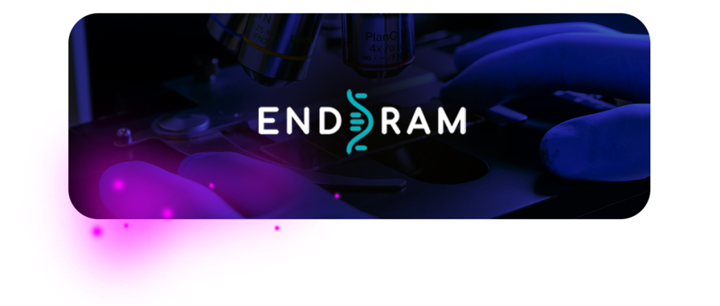 END-RAM