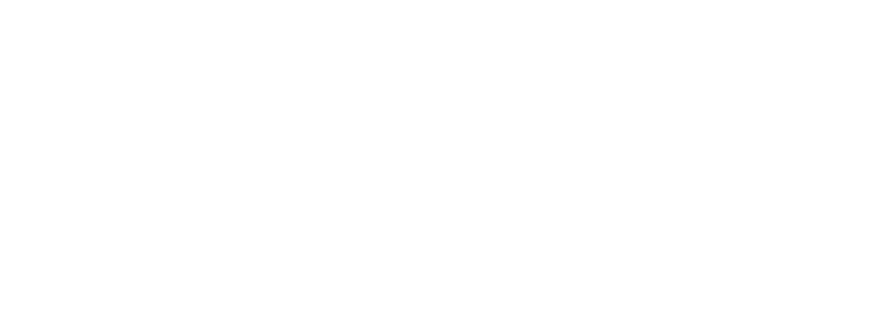 Indumental