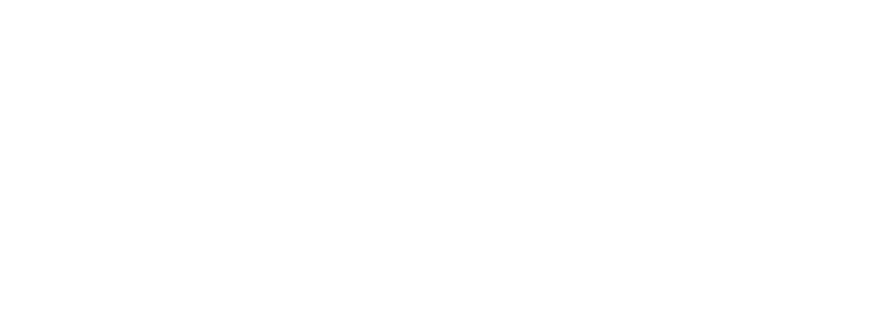 GISIR