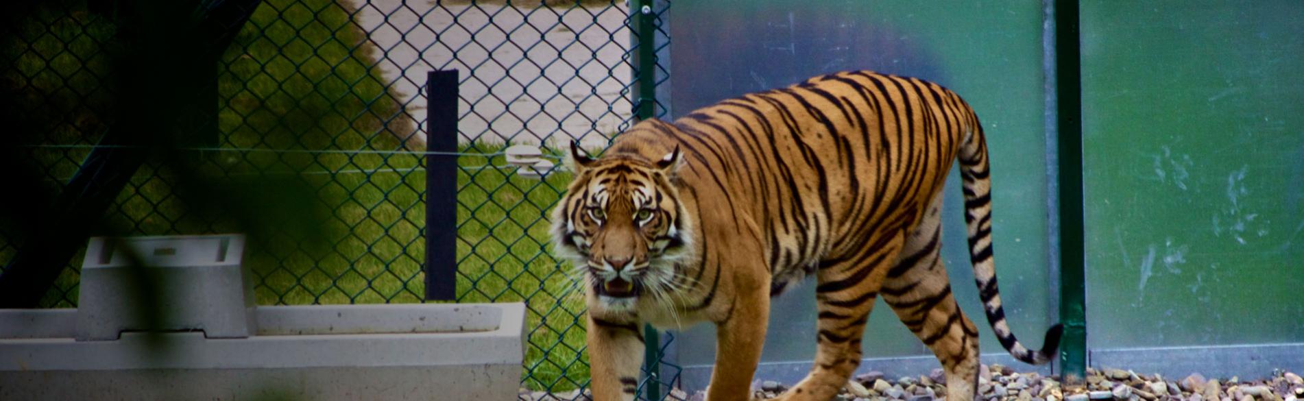 La Aurora Zoo