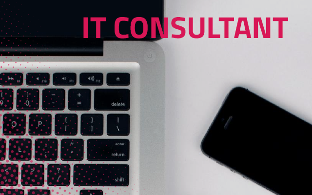 IT consultant
